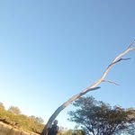 Indalecio Chavez - @indaleciochaven - Instagram