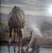 Indalecio Proa - Facebook