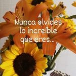 Maria Carmen Ramos Indalecio - @mariacarmenramosindalecio - Instagram