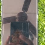oooooo - @inder_atwal___19 - Instagram