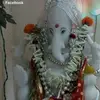 Inder Rohra - @inderrohra - TikTok