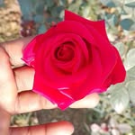 Inder Malika - @malikainder - Instagram