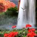 Inder Mann - Facebook
