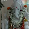 Inder Rohra - @inderrohra - TikTok