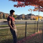 Inder walia | Online coach 🍁 - @inderaesthetics_ - Instagram