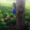 deol  saab - @inderpaldeol - TikTok