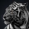 Indervir Gill - @user113093811 - TikTok
