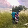Indi - @indiislam62 - TikTok