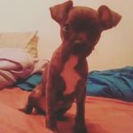 India Davidson - @its_india3 - Instagram