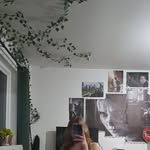 india ✨️🐕🩶✨️ - @india_doyle.05 - Instagram