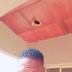 Dan Anty - Facebook