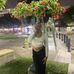 India Edwards - Facebook