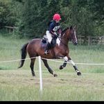 India Edwards - @indiaedwards.eventing - Instagram