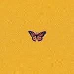 india🌸 - @indiaferrell678 - Instagram