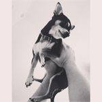 India Fox - @indiaf0x - Instagram