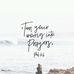 S India Fox - Facebook