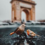 LifePleasure - @frederickindiaaledale - Instagram