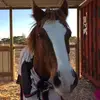 Indi Alvarez - @indiana.freeman - TikTok