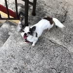 India Gray - @theloveofindie - Instagram