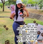 India Guzman Guzman - Facebook