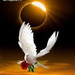 Hardi Yanto - Facebook