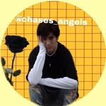 India - Harper - @chases_angels - Instagram