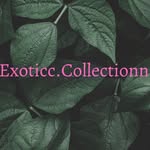 India Harrison - @exoticc.collectionnllc - Instagram