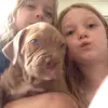 yuiopaheuxne - @indianaroseharrison - TikTok