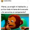 india_herrera - @india_herrera - TikTok