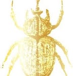 India Hicks - @indiahicksgivetogether - Instagram