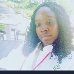 India Houston-Howard - @33_foods_llc_dinewithme - Instagram