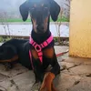Maria Jiménez - @indiajimenez230 - TikTok