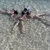 spamm - @indialogan5 - TikTok
