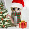 Cindia Lopez - @cindia.lopez61 - TikTok