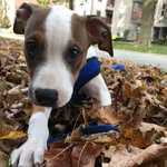 Indie - @india___lynn_ - Instagram