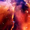 BlackisBeatful - @indiah.madison - TikTok
