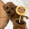 indiamaxwell266 - @indiamaxwell266 - TikTok
