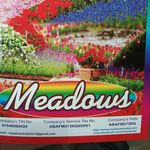 Meadows India - @meadowsindia - Instagram