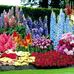 Meadows India - Facebook