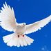 Meadows India - Facebook