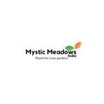MYSTIC MEADOWS INDIA - @mysticmeadowsindia - Instagram