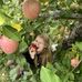India Moore - Facebook