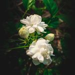 India x - @india_moorex - Instagram
