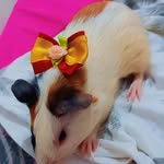 ♡Indi_Amora♡ - @indi_amora - Instagram