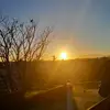 India Murphy - @india.murphy - TikTok