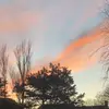 Old account got bann - @indiapope_official - TikTok