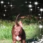 India Tootsie Pop Porter - @prtrindi - Instagram
