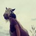 India Powell - Facebook