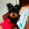 India Ramos642 - @humbleindia - TikTok