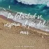 India Rivera - @indiarivera0 - TikTok